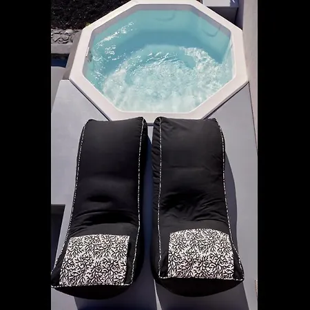 Executive With Private Indoor Or Outdoor Plunge-pool 2 Guests Foinikiá